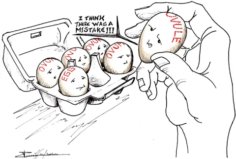 Робота №1017